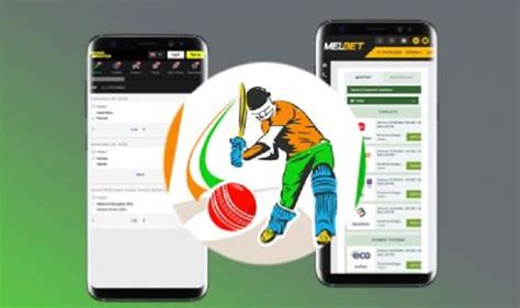 line cricket betting app.